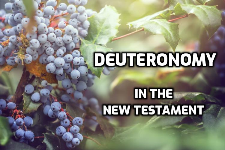 Quotes-Deuteronomy