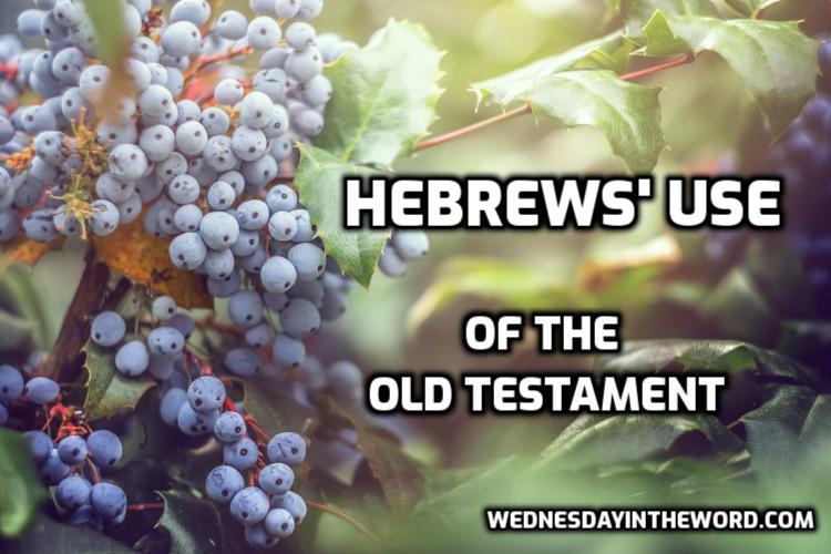 Quotes-Hebrews
