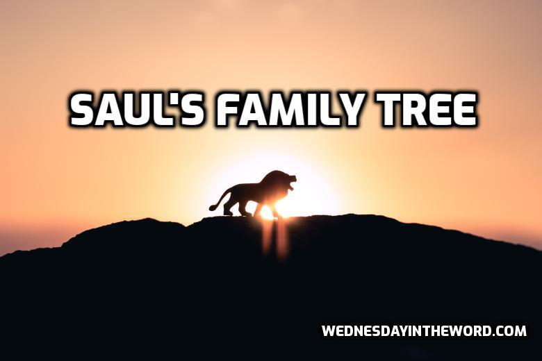 FamilyTree-Saul King Saul's Family Tree from Wednesday in the Word
