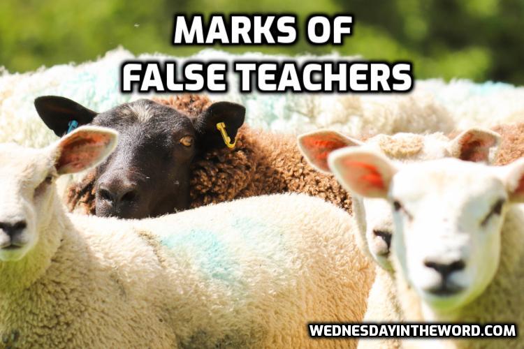 7 Key Marks of False Teachers