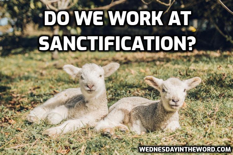 SanctificationWork Do we work at sanctification?