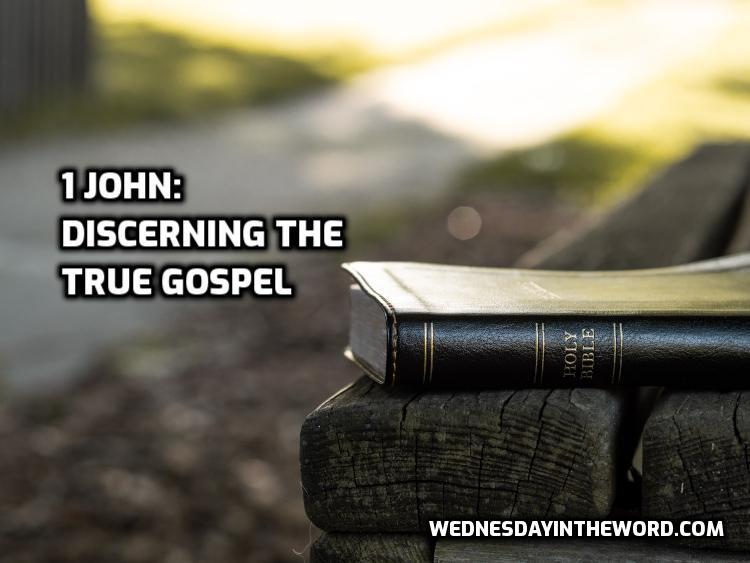 1JohnSeries
