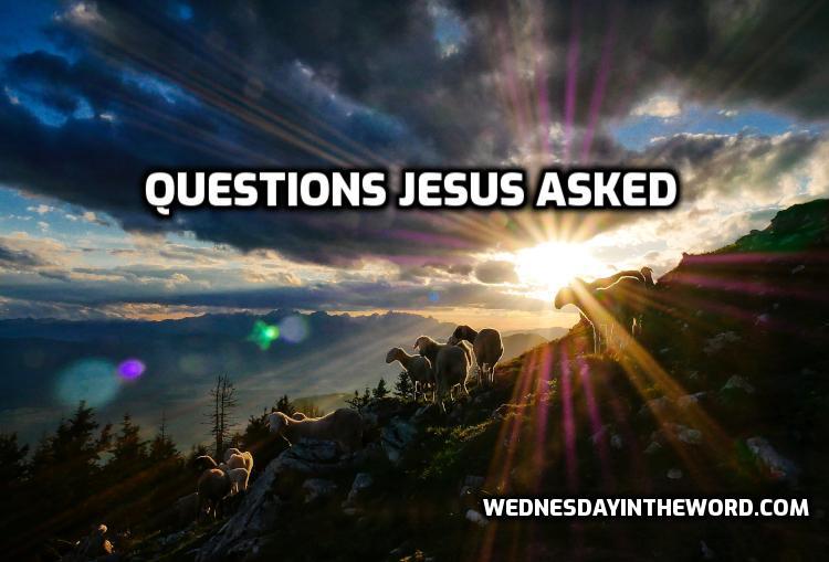 Questions