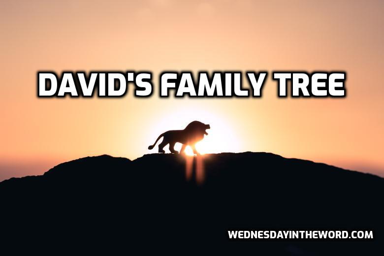 King David's Family Tree from Wednesday in the Word