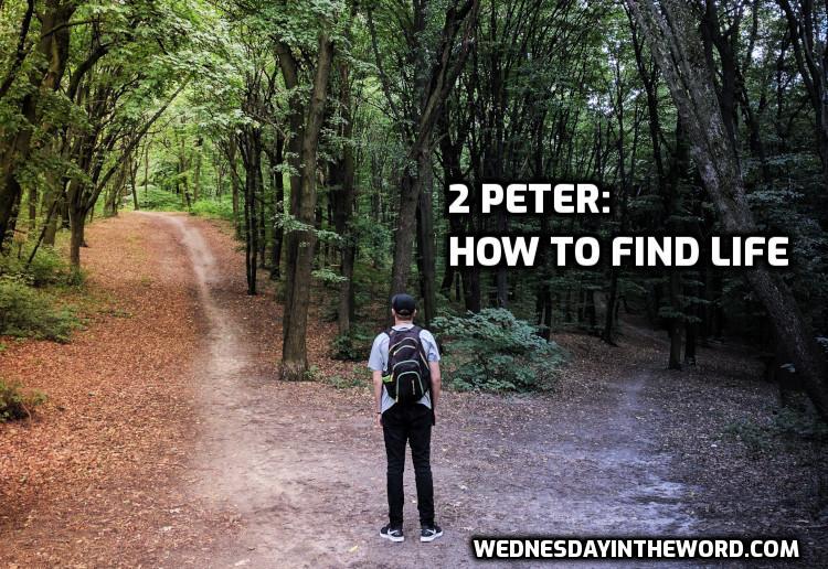 2 Peter Bible Study | WednesdayintheWord.com