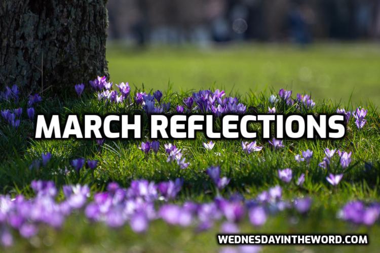 March 2026 Reflections