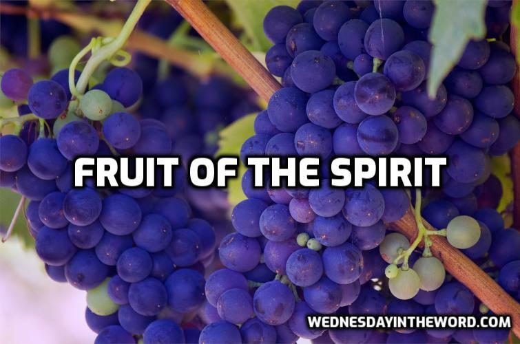 Fruit of the Spirit Bible Study | WednesdayintheWord.com