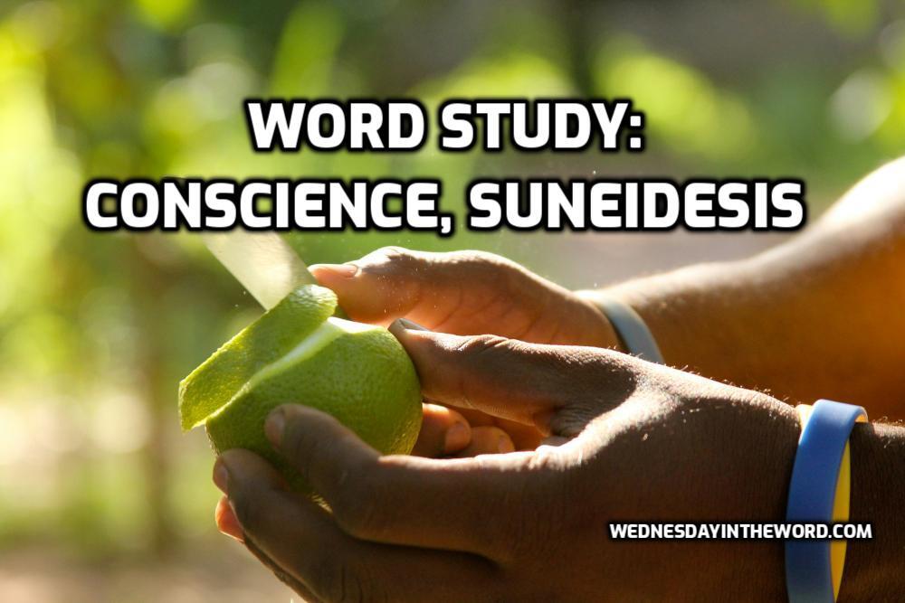 Word Study: conscience, suneidesis