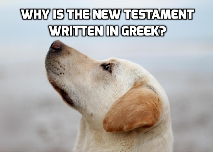 NTGreek-750