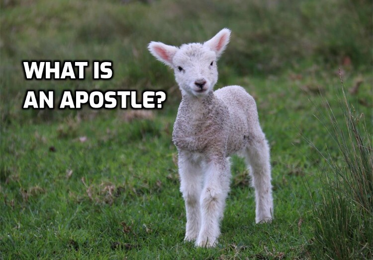Apostle-750 What is an apostle?