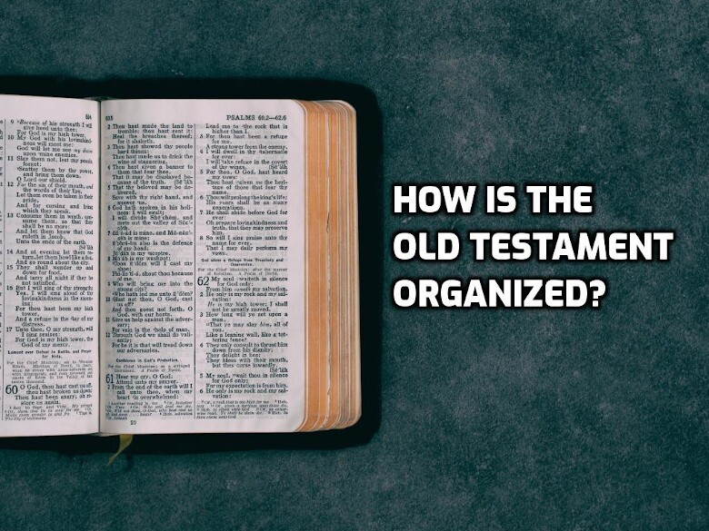 OTOrganization-780