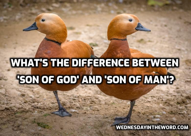 SonofGod-Man