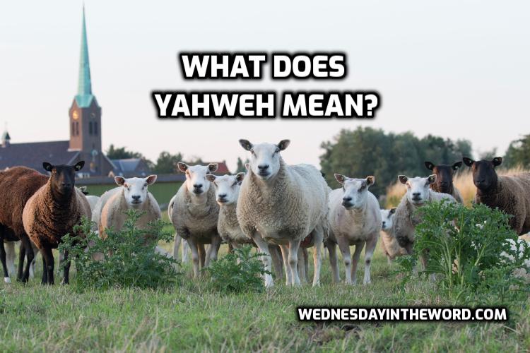 What-YHWH